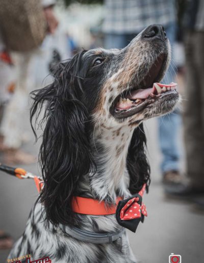 Périgueux Vintage Days 2019 - Ambiance Vintage