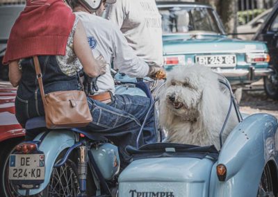 Périgueux Vintage Days 2019 - Véhicules Vintage