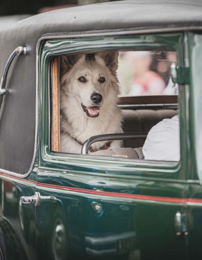 Périgueux Vintage Days - Véhicules Vintage